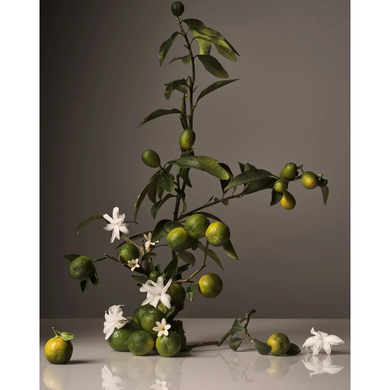 Homecourt Surface Cleaner Spray, All-Purpose, Clean Formula, 16 fl oz