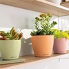 LECHUZA Classico Color 14 Deco Linden Table Pot Matte Surface