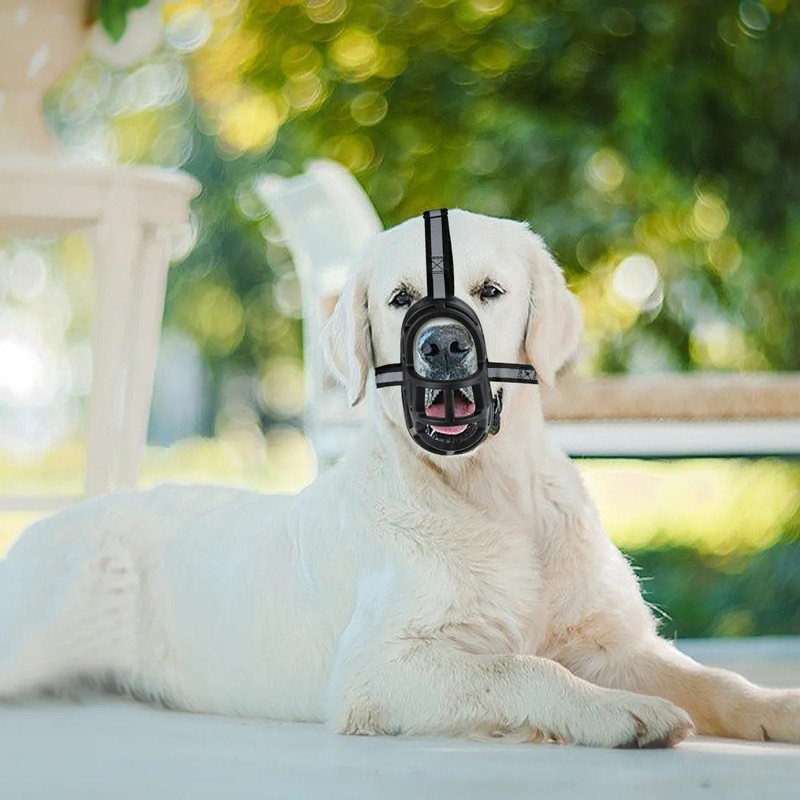 Bozal Para Perro De Entrenamiento Todas Las Tallas