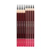 Professional Drawing Charcoal Pencils Set, 10 Piece Art Supplies with