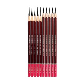 Professional Drawing Charcoal Pencils Set, 10 Piece Art Supplies with Soft Medium Hard for Sketching,Charcoal Art,Drawing Charcoal Pencils for Sketching,Art Supplies(soft 10 Piece)