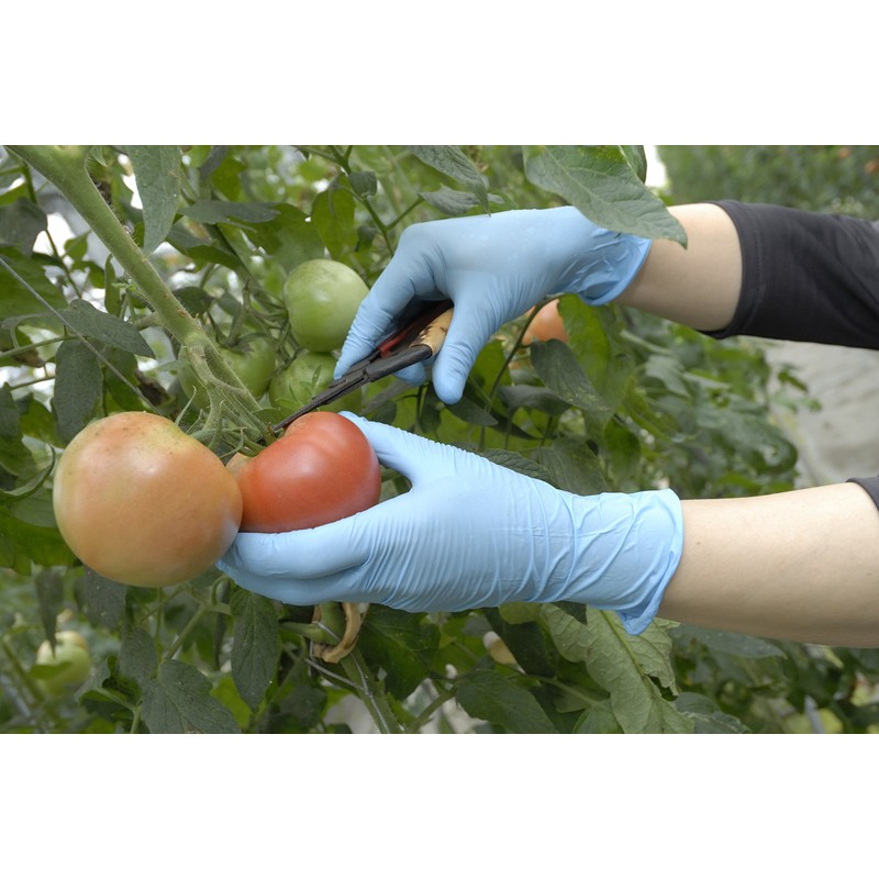 Showa Glove No. 883 Nitrist Tough Gloves, Powder-Free, 100-Pack, Blue,