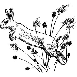 Azeeda A7 'Jumping Hare' Unmounted Rubber Stamp (RS00042358)