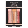 PROFUSION COSMETICS LIP TRIO HIGH SHINE LIP GLOSS - NUDES