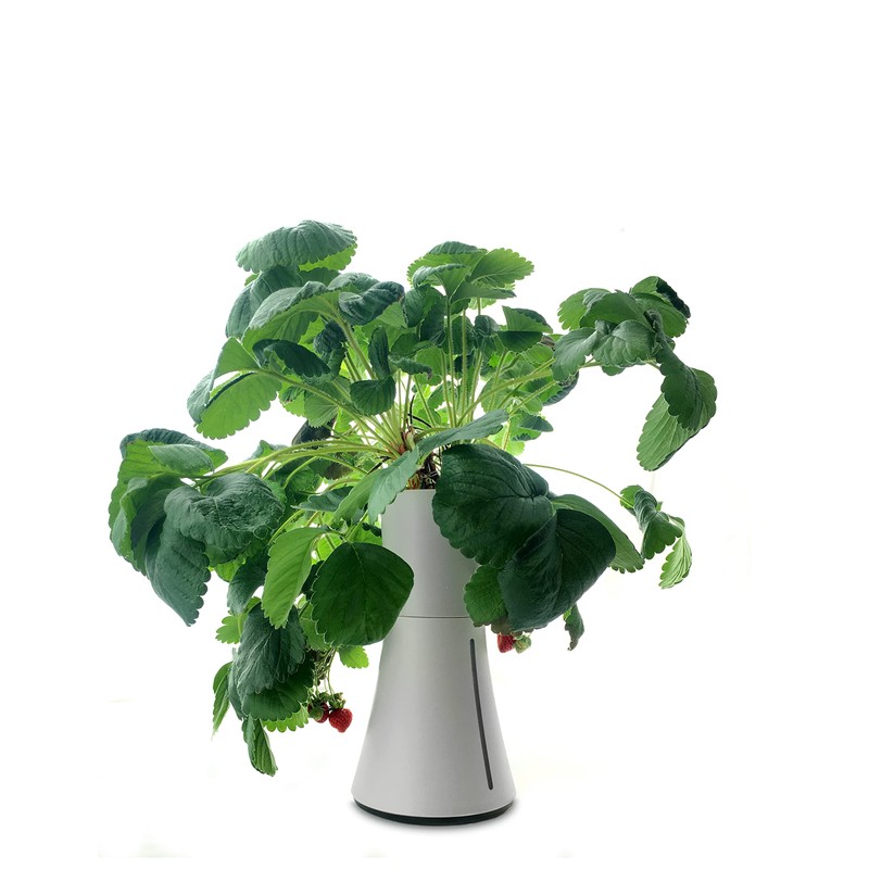 Botanium Hydroponic and Automatic Indoor Gardening Pot, Grey