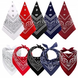 5 PCS Paisley Pattern Bandanas Men and Women Face Mask Square Scarf Headwear Perfect Neck and Head Wear for Summer, Winter, Sports Party Events, Dance Accessories (5Colors