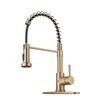WEWE Brushed Gold Kitchen Faucet with Pull Down Sprayer, RV