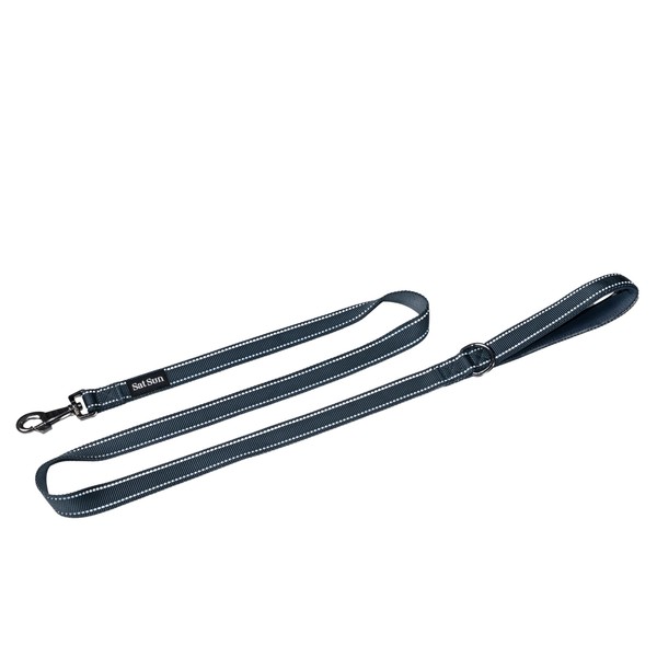 Small Dog Leash Designed for Small Dogs, Featuring A Reflective