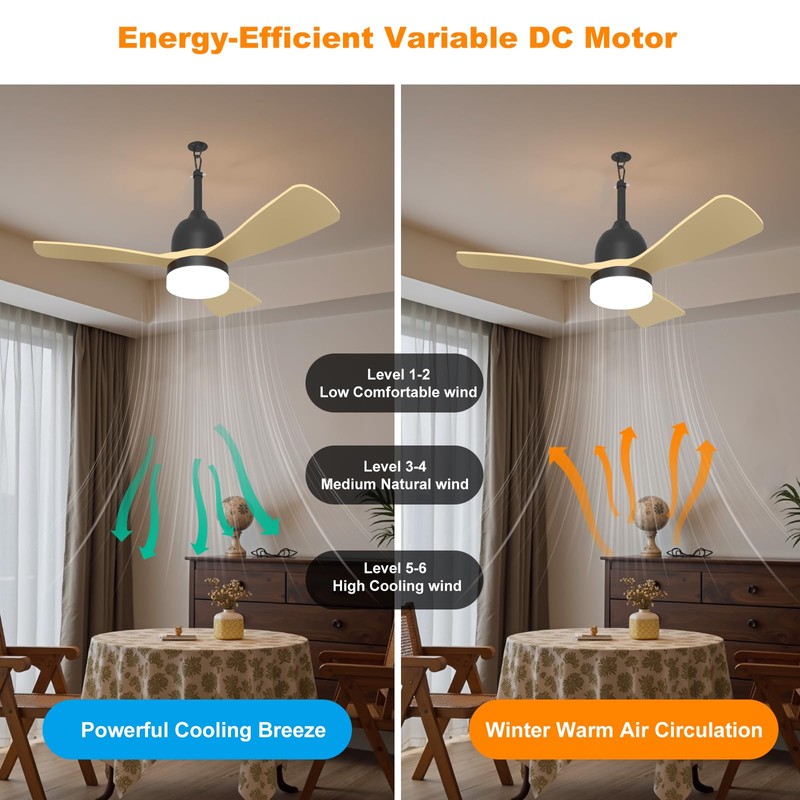 Bsteciar 36" Ceiling Fans with Lights, Remote Control + APP