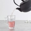 HwaGui Cast Iron Teapot Large Japanese Tetsubin Kettle with Stainless
