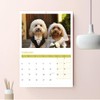 Cockapoo Calendar 2025 12 Month to View A4 2025 Calendar
