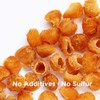 NESTLADY Premium Dried Longan 200g (7.05oz) - 100% Natural Thai