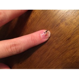 ALLYDREW Asian Inspired Nail Stickers Nail Art Cherry Blossom Nail Stickers Fish Nail Art - Cherry Blossoms, Gingko Leaves & Koi Fish (3 Designs/6 Sheets)