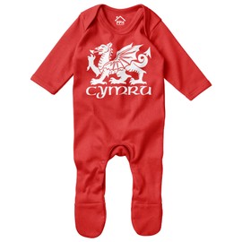 Purple Print House Cymru Dragon Baby Romper Suit Wales Welsh Baby Rugby Welsh Boys Girls, 3-6 Months, Red