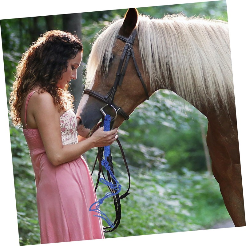 Hohopeti Riding Protective Ring Chain for Horse Bits Horse Head