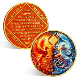 ACGZQY 2 Year Na Medallion – Rebirth Phoenix Fairy Sobriety Chip Sun and Moon NA Coins and Medallions Upon Awakening Recovery Addiction Sober Token Affirmation Narcotics Anonymous Gifts