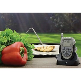 Sharper Image Digital Wireless Remote BBQ & Kitchen Thermometer Receiver 203678