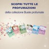 Nuncas Buste Profumate - per Cassetti - Muschio - 2