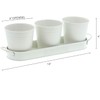 MoFarbe Herb Pots for Kitchen & Windowsill | Kitchen Herb