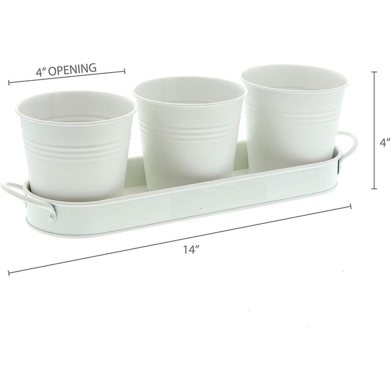 MoFarbe Herb Pots for Kitchen & Windowsill | Kitchen Herb