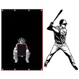 Sharellon Baseball Batting Cage Backstop with Bungee Cords,4x6FT Vinyl Baseball Pitcher Training Equipment Aid for Batting Hitting Pitching