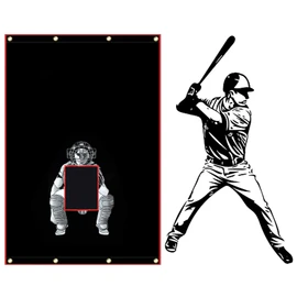 Sharellon Baseball Batting Cage Backstop with Bungee Cords,4x6FT Vinyl Baseball Pitcher Training Equipment Aid for Batting Hitting Pitching
