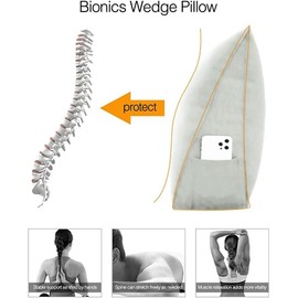 strusery Bedrest Pillows for Adults, PP Cotton Reading Pillow for Bed, Comfortable Back Pillows for Sitting Up on Couch or Floor, Breathable Couch Pillows, Removable Cover Pillow, Polyester White