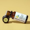 Plan Therapy - Aceite Esencial De Ylang Ylang 10ml