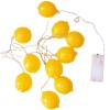 Elegani 10 LED Lemon String Lights – Warm White Indoor