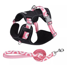 Arnés para Perro con Correa- Arnés Pechera para Perros, Antidesgarro, Ergonómico, Reflectante y Transpirable (Negro, XXS)