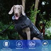 Reversible Waterproof Dog Coat with Removable Harness Design and Folded