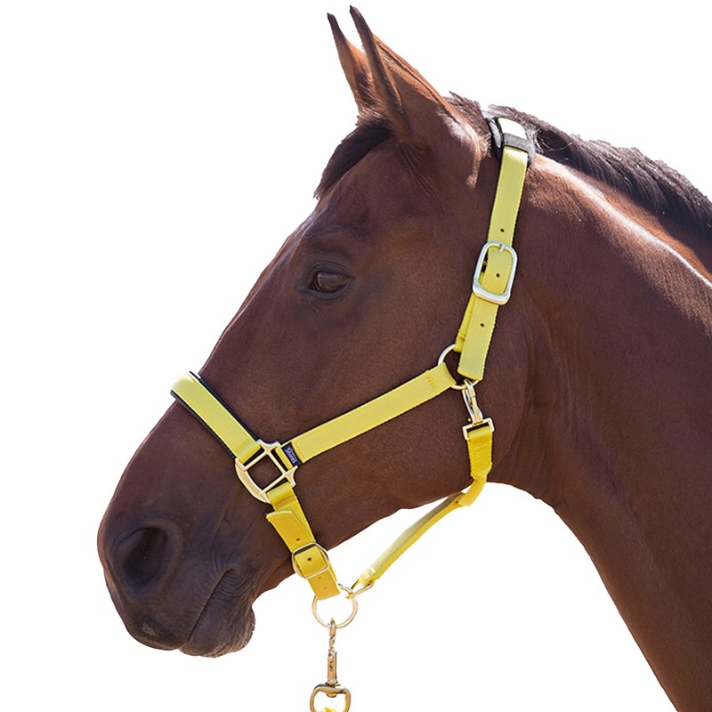 Shires Topaz Nylon Headcollar-Blue S Pony