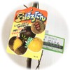 Chestnut Seedling Porotan (PVP) 4.7 inches (12 cm) Pot Seedling,