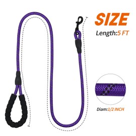 Olodeer Nylon Dog Leash with Padded Handle,5 FT Length Dog Leash for Daily Walking and Training,Fit for Medium Large Dogs.(5 FT,Modern Violet)