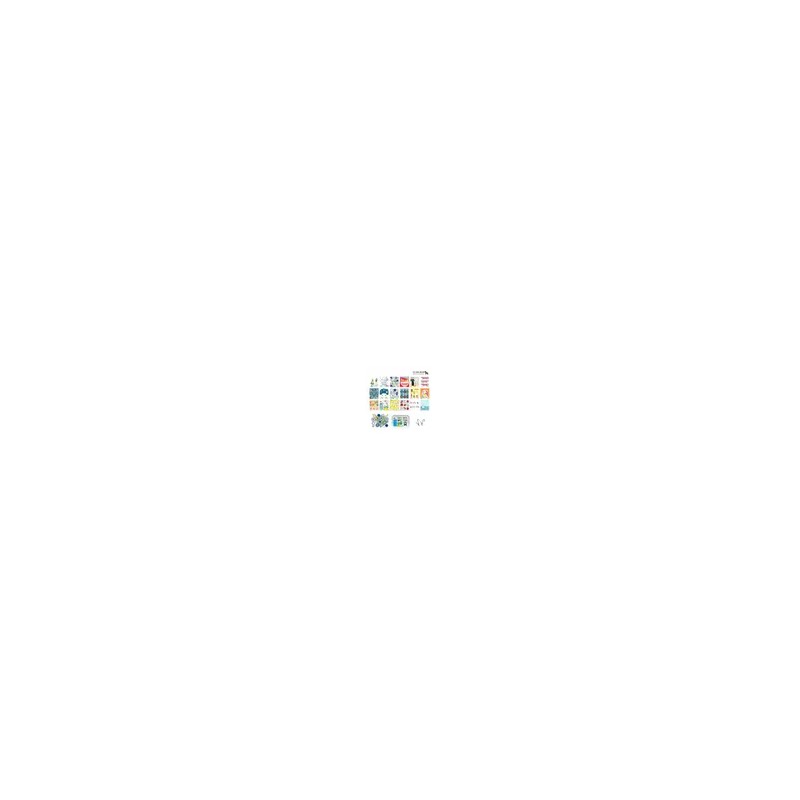 스칸맘 [Scanmom] Exclusive Antibacterial Dish Cloth Set of 22 Types