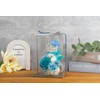 Korolla Seina Preserved Flower White Cat Black Cat Flower Gift