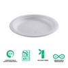 ECO PRODUCTS Vanguard Compostable Disposable Paper Plates, 6" Round Eco-Friendly