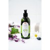 10 Herbs Rejuvenate Shampoo for Bright and Shiny Hair, Sage,