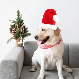 ANIAC Adjustable 3D Christmas Dog Santa Hat for Medium to Large Dogs Pet Dog Santa Costume…
