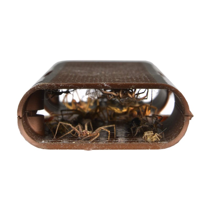 RESCUE! Spider Traps – Catches Brown Recluse, Hobo Spiders, Black
