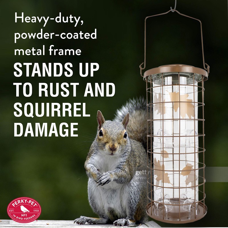 Perky-Pet Squirrel Stumper Wild Bird Feeder - Keep Squirrels Out