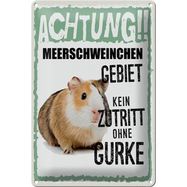 FEMER Tin Sign with German Text 20 x 30 cm Achtung Meerschweinchen kein Zutritt ohne Gurke