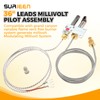 SURIEEN Millivolt Pilot Assembly Compatible with Grand Canyon, 36" Leads