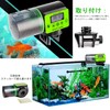 BlueFire Automatic Fish Feeder, Automatic Feeder, Tropical Fish, Goldfish, Medallion