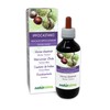 Horse Chestnut (Aesculus hippocastanum) bark and Seeds Alcohol-Free Mother Tincture
