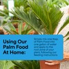 Grow More Palm Food with Yucca Extract (15-5-15) - 1.5lbs