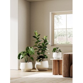 LE TAUCI Ceramic Planters, 10 Inch Pots for Plants, Indoor Plant Pots with Drainage Holes and Saucers, Modern Planters Fit Mid Century Plant Stand, Flower Pots for Indoor Plants, White