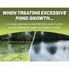 Crystal Plex - Lake and Pond Algaecide Treatment - Liquid