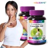 Holidays Diet Catechin 300 2 bottles (120 tablets) / 홀리데이즈
