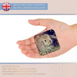 Destination Vinyl ltd Fridge Magnet - Cute Baby Bunny Rabbit Pet Animal for Office, Cabinet and Whiteboard, Magnetic Stickers, 44752